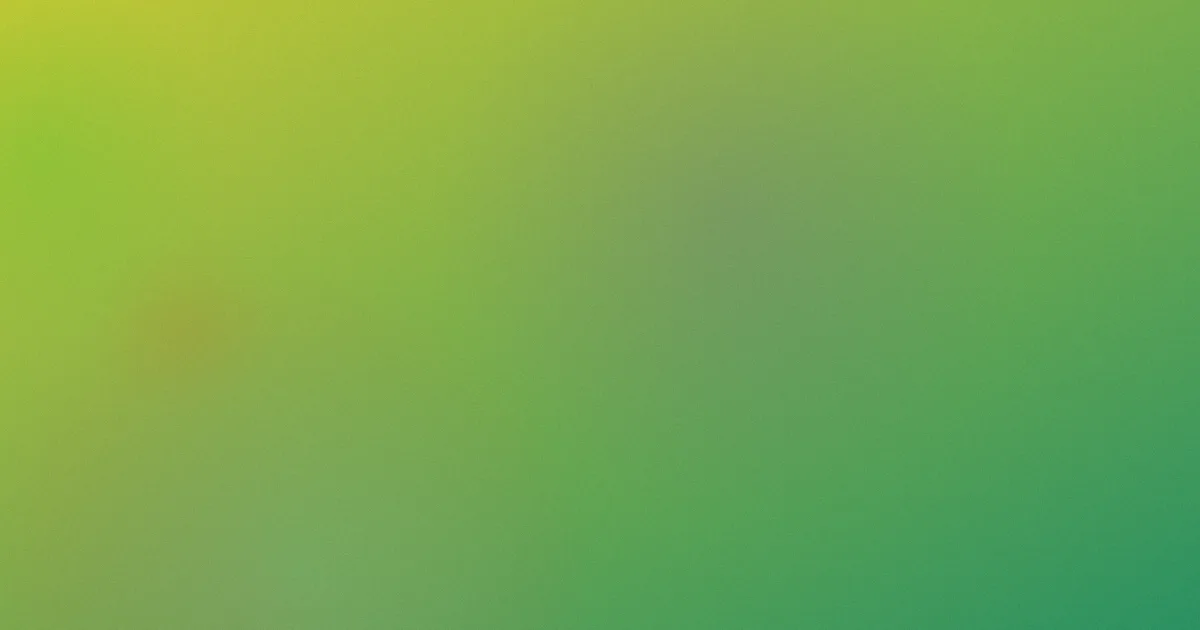 新的姐姐电影测评：先避开五个坑